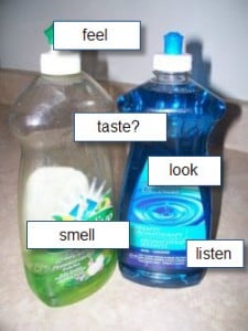 dishsoap 