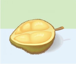 durian