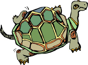 tortoise