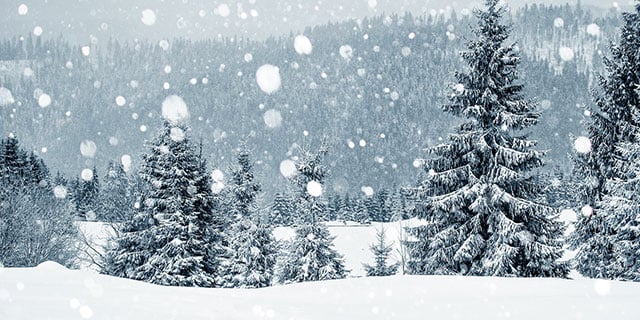 blizzard