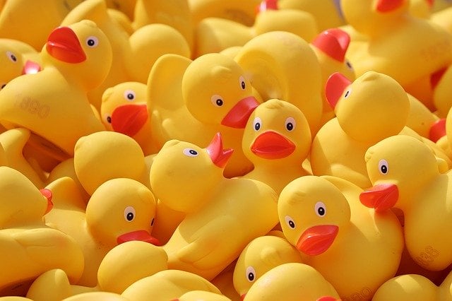 rubber ducks