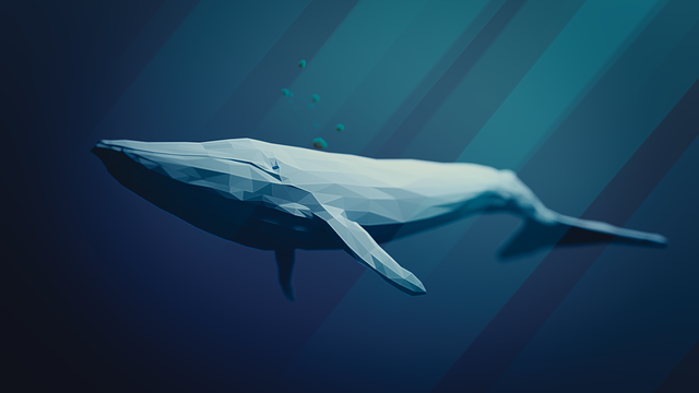 whale songs