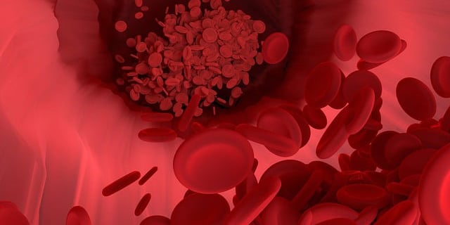 blood