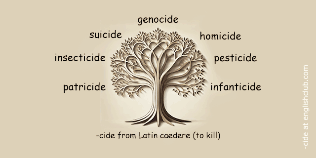 -cide words