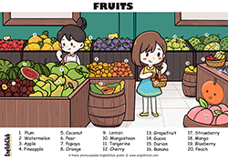 Fruits vocabulary