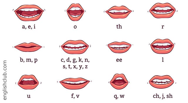pronunciation of you