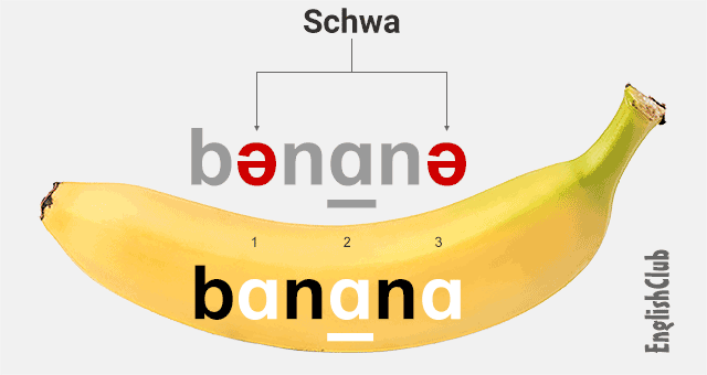 schwa - banana