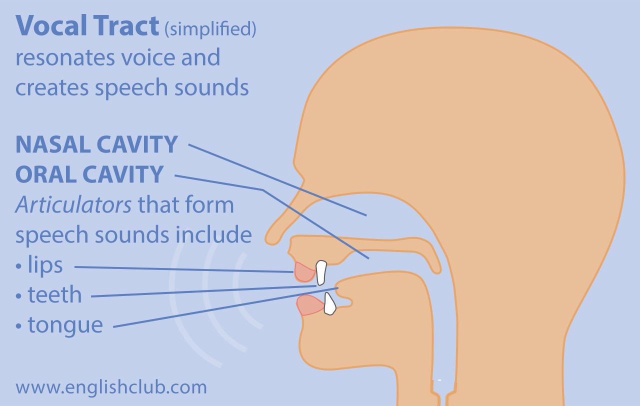 speech sound meaning and definition