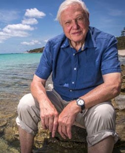 Naturalist David Attenborough