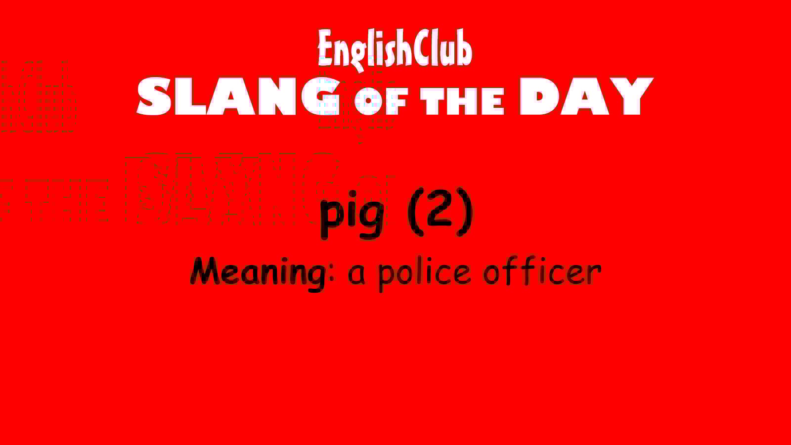 pig (2)