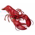 lobster