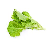 lettuce