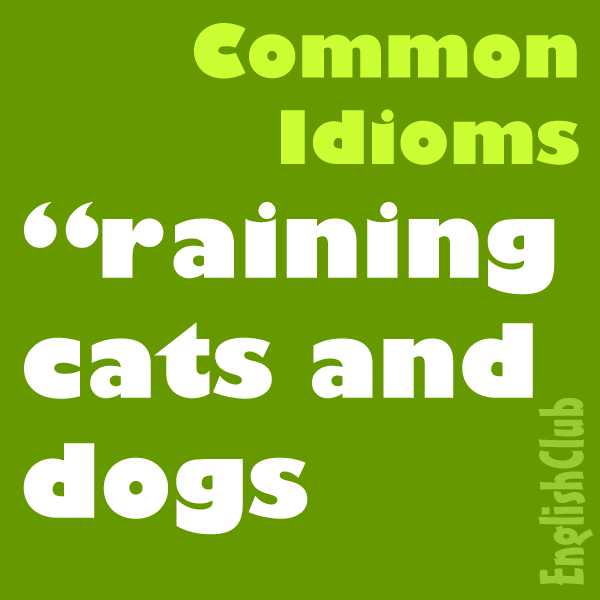 Idiom Examples: Common Expressions and Their Meanings