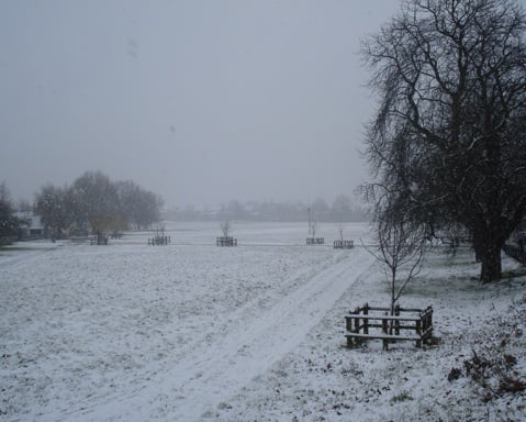 blog0601.jpg