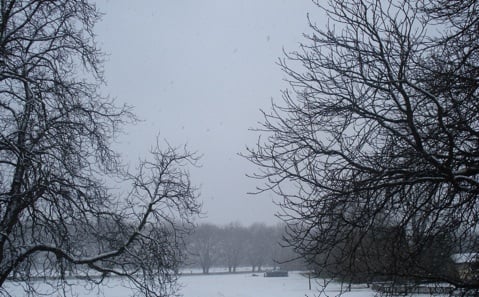blog0603.jpg